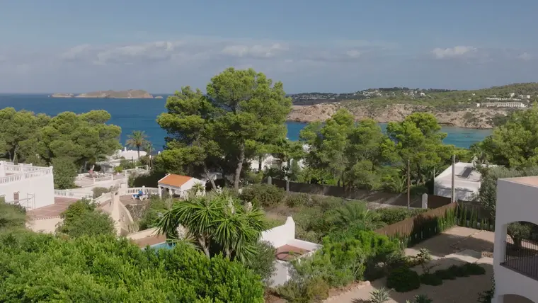 Pinar y mar desde la finca